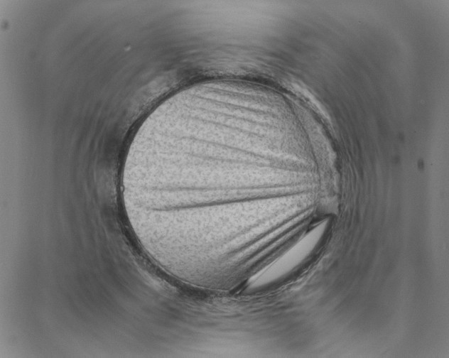 X0000088370489200706191247