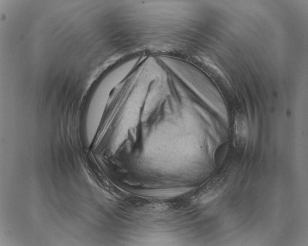 X0000088370492200706191247