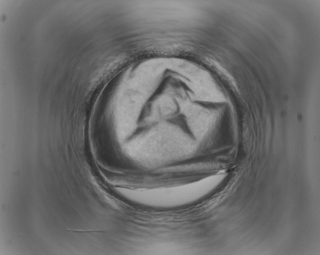 X0000088370493200706191247