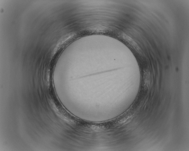 X0000088370494200706191247