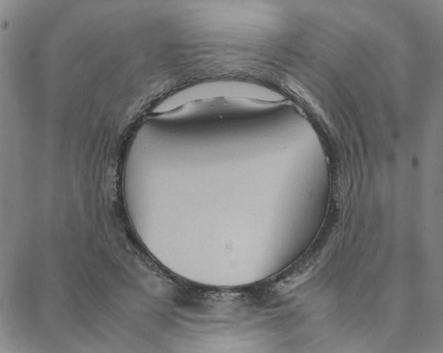 X0000088370497200706191246