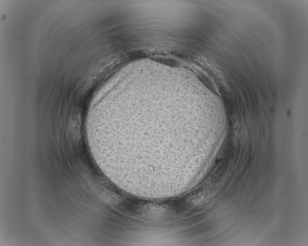 X0000088370498200706191246