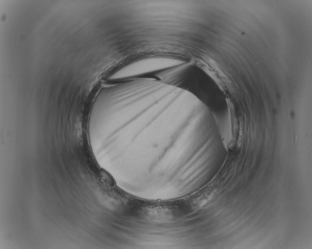 X0000088370500200706191246