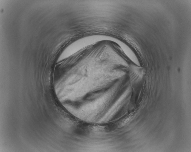 X0000088370501200706191246