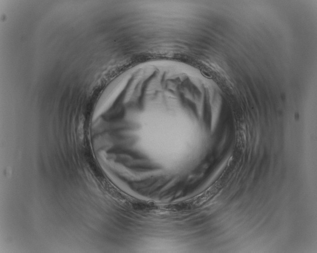 X0000088370504200706191246