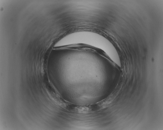 X0000088370512200706191246
