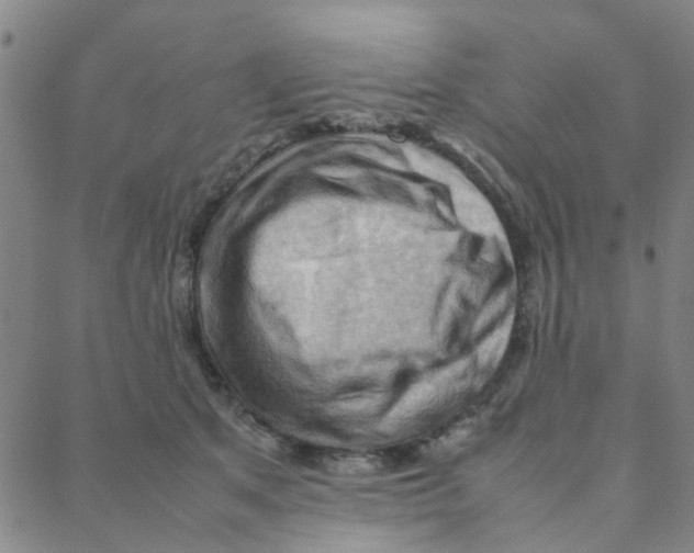 X0000088370513200706191246