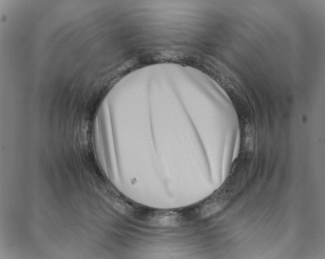 X0000088370514200706191246