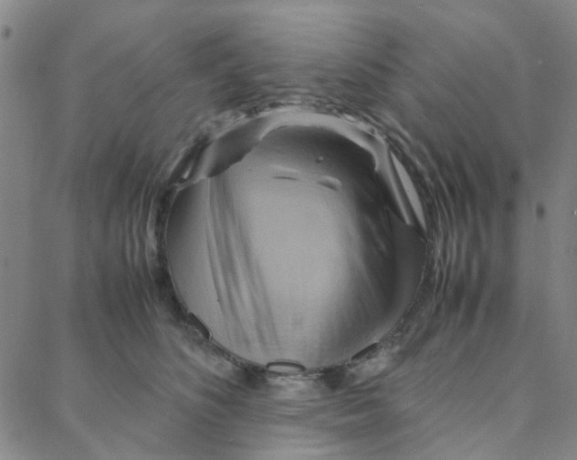 X0000088370516200706191246