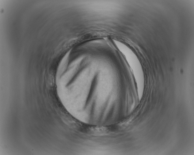 X0000088370517200706191246