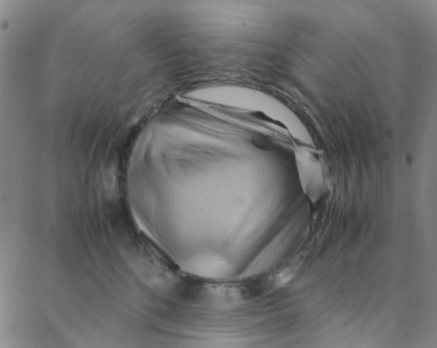 X0000088370520200706191246
