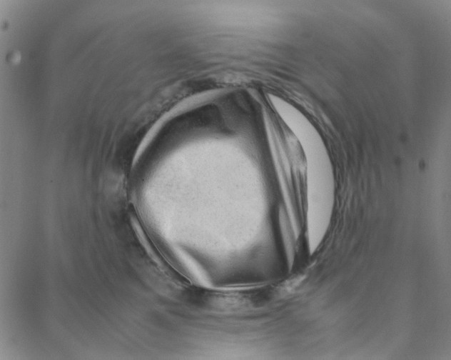X0000088370521200706191246