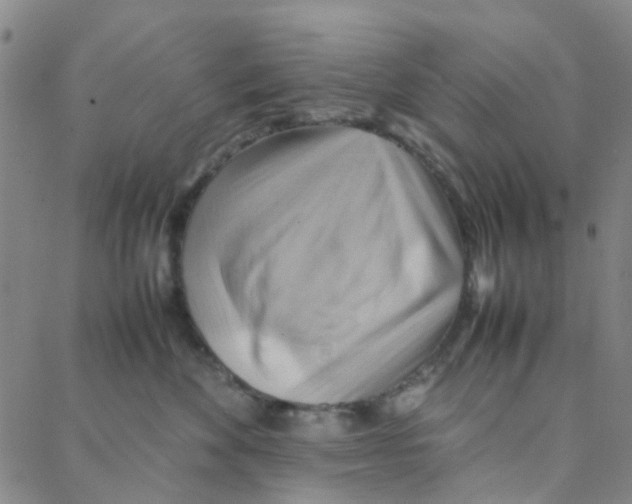 X0000088370524200706191246