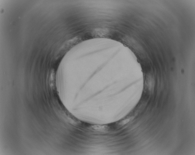 X0000088370526200706191246