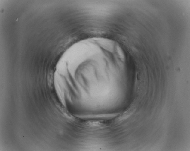 X0000088370528200706191246
