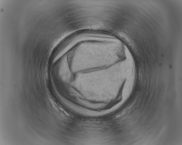 X0000088370532200706191245