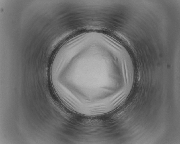 X0000088370535200706191245