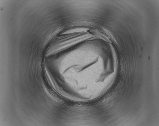 X0000088370538200706191245