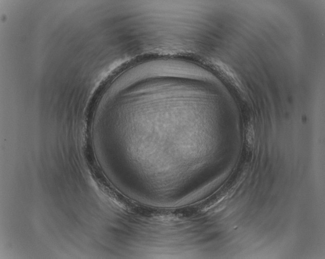 X0000088370540200706191245