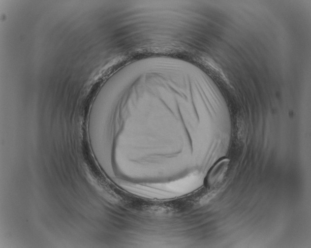 X0000088370542200706191245