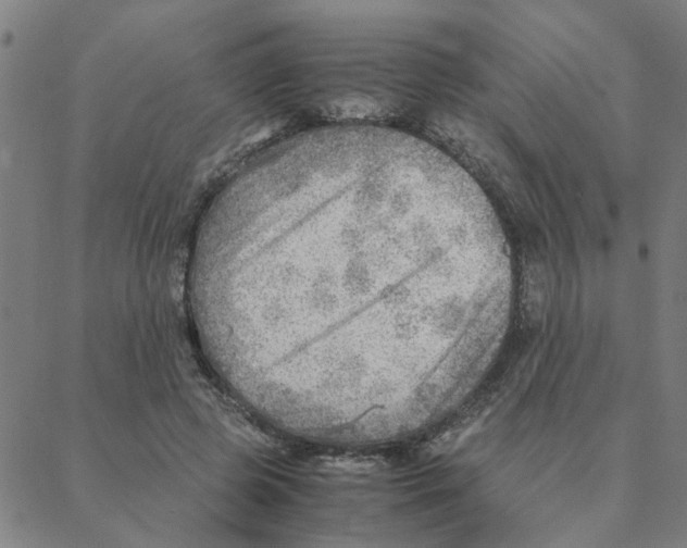 X0000088370545200706191245