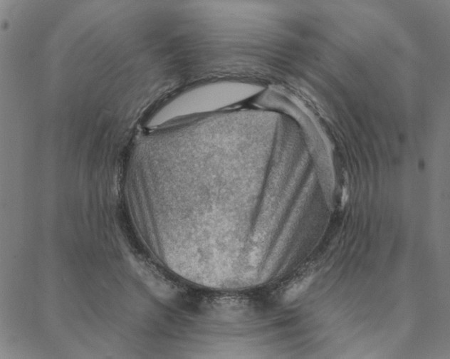 X0000088370546200706191245