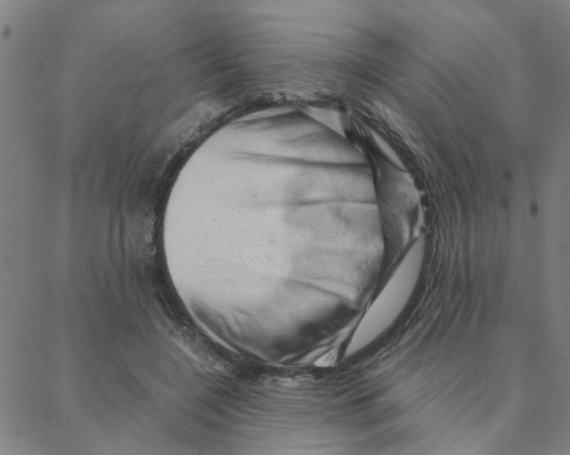 X0000088370548200706191246