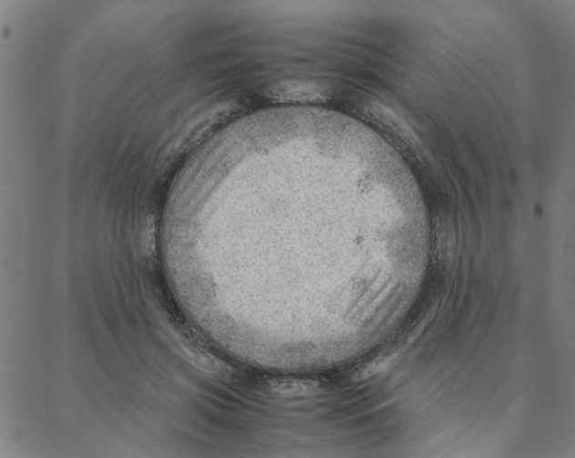 X0000088370549200706191246