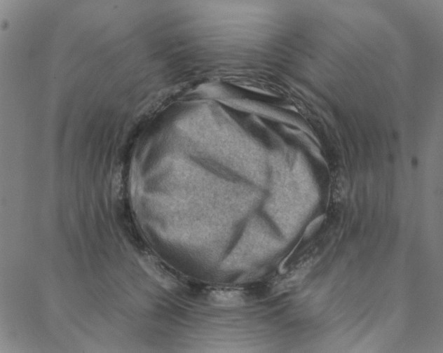 X0000088370560200706191246