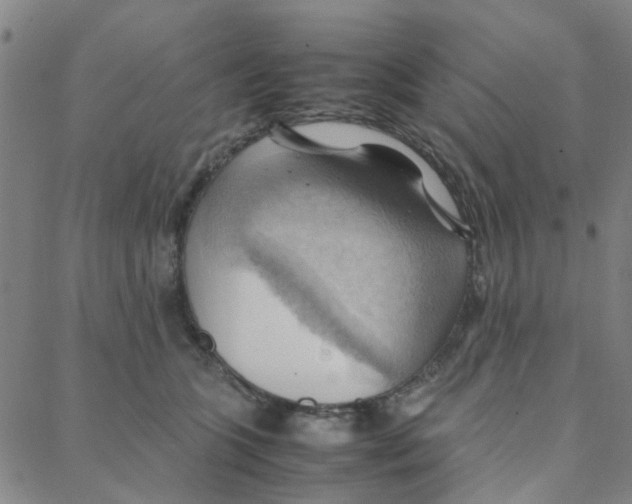 X0000088370563200706191246