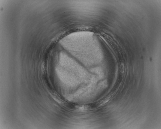 X0000088370564200706191246