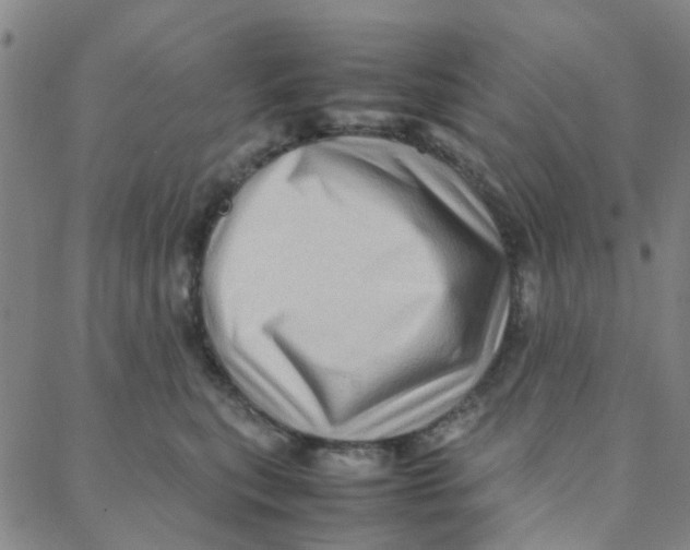 X0000088370567200706191246