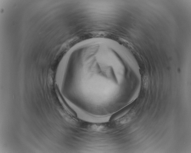 X0000088370570200706191246