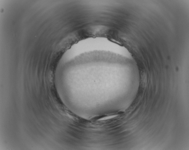 X0000088370571200706191246