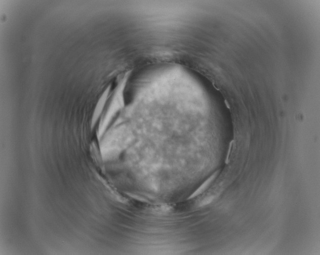 X0000088370576200706191246