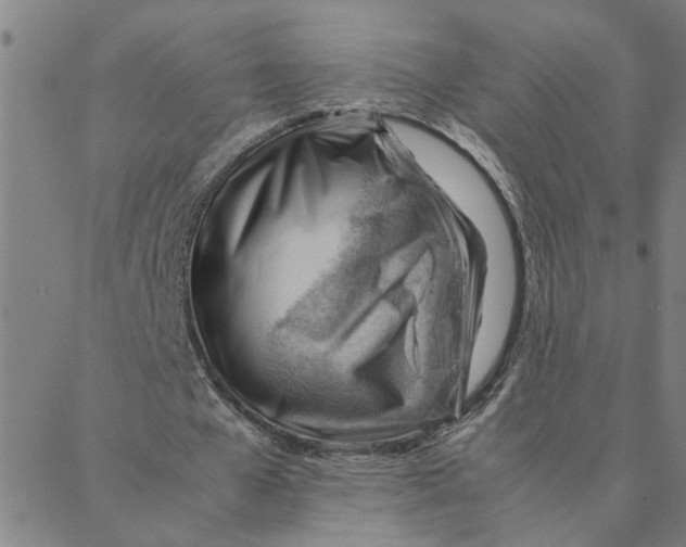 X0000088370577200706191245