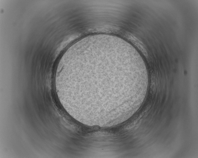 X0000088370578200706191245