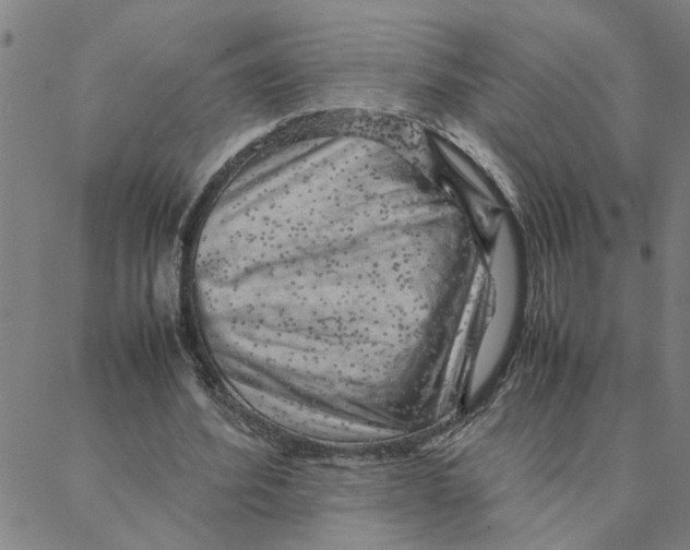 X0000088370580200706191245