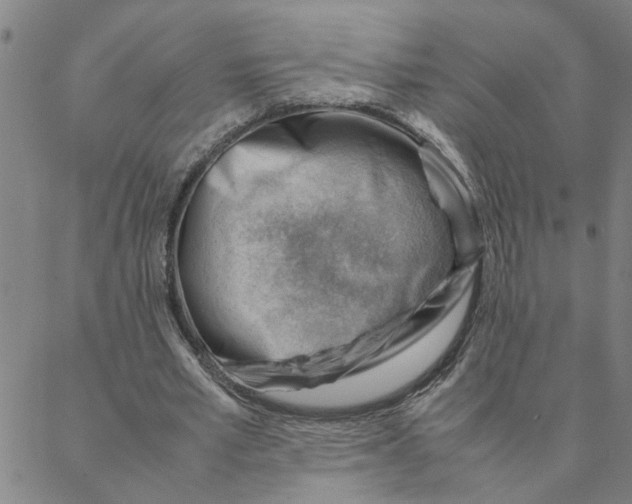X0000088370581200706191245