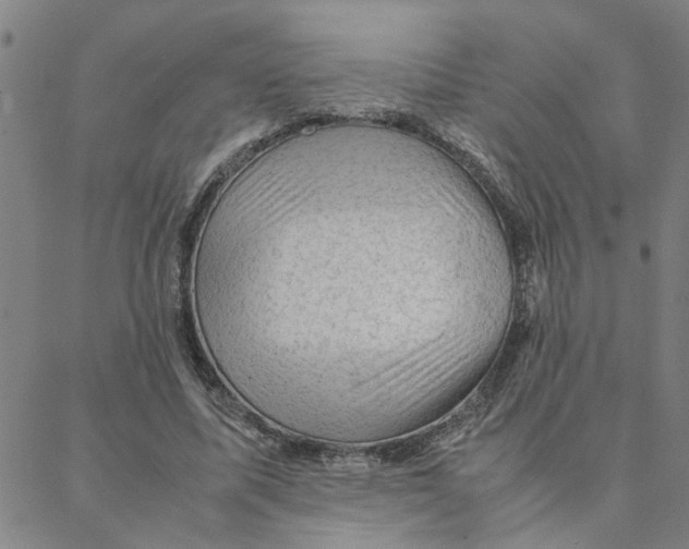X0000088370587200706191245