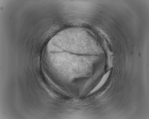 X0000088370589200706191245