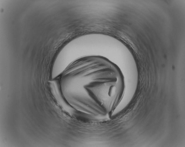 X0000088370593200706191245