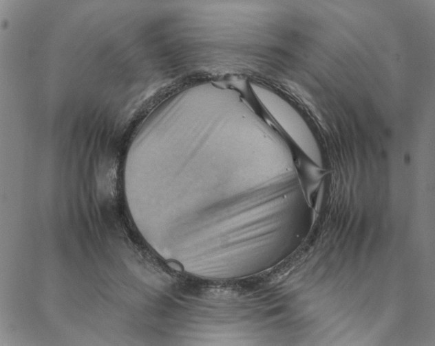 X0000088370596200706191245