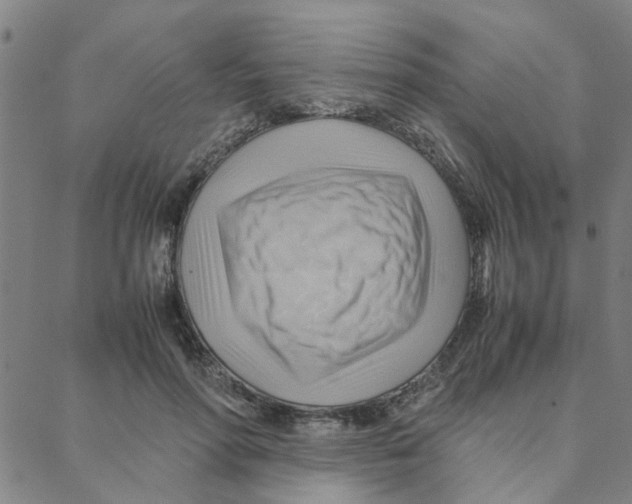X0000088370598200706191245
