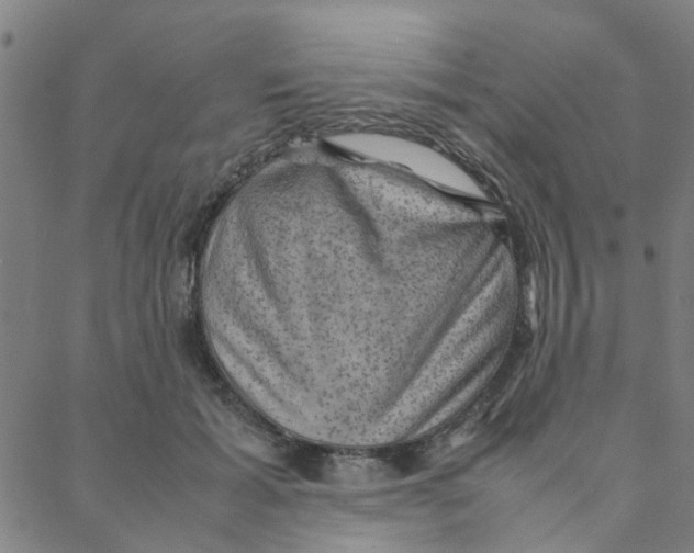 X0000088370605200706191245
