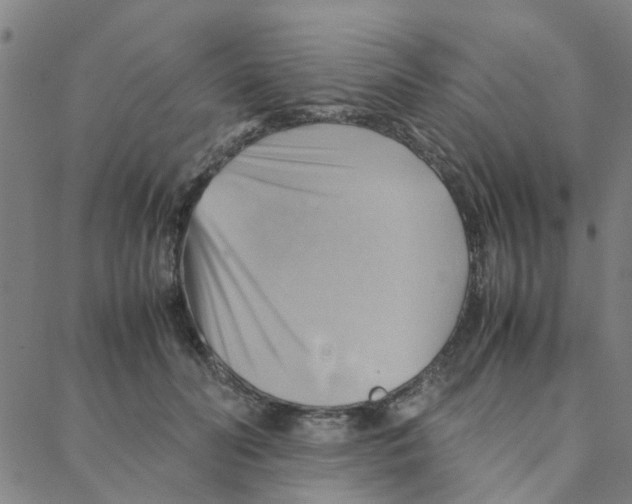 X0000088370606200706191245