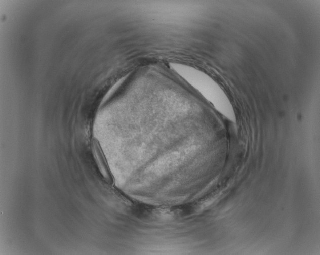 X0000088370613200706191245