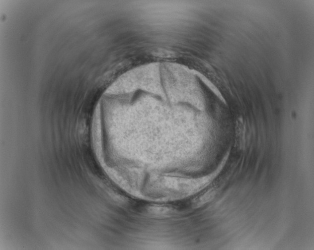 X0000088370614200706191245