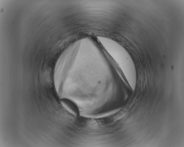 X0000088370616200706191245