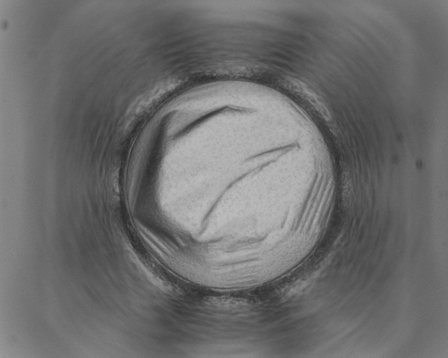 X0000088370633200706191244